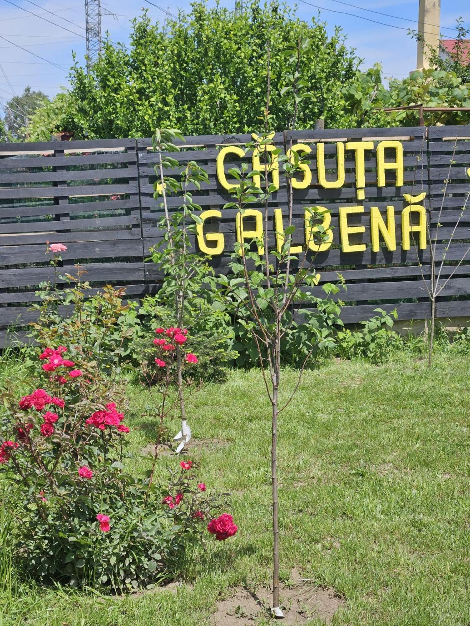 Casuta Galbena Villa Eforie Nord Exterior foto
